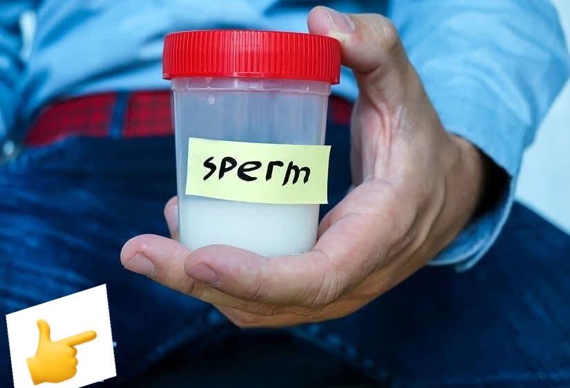 Sperm